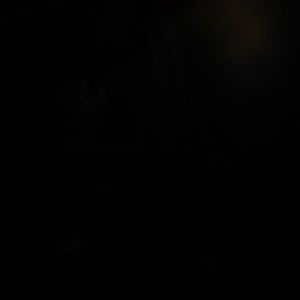 Meet your Posher, Steph